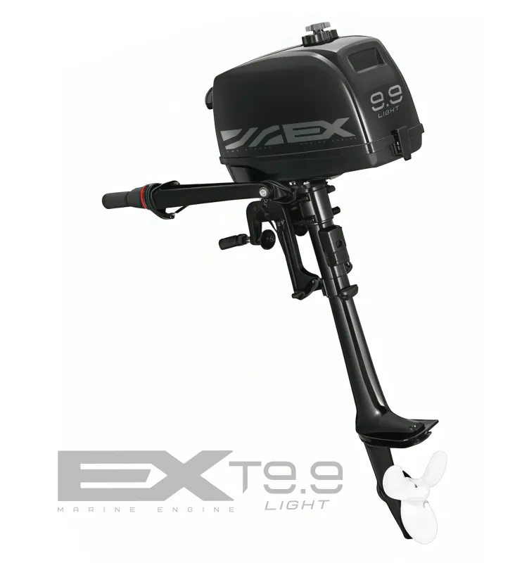 Лодочный мотор EX T9.9 BMS light 2T