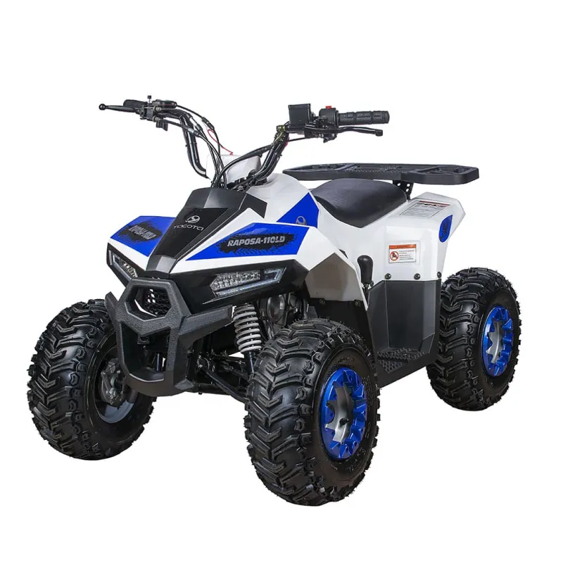 Квадроцикл Yacota Raposa 110