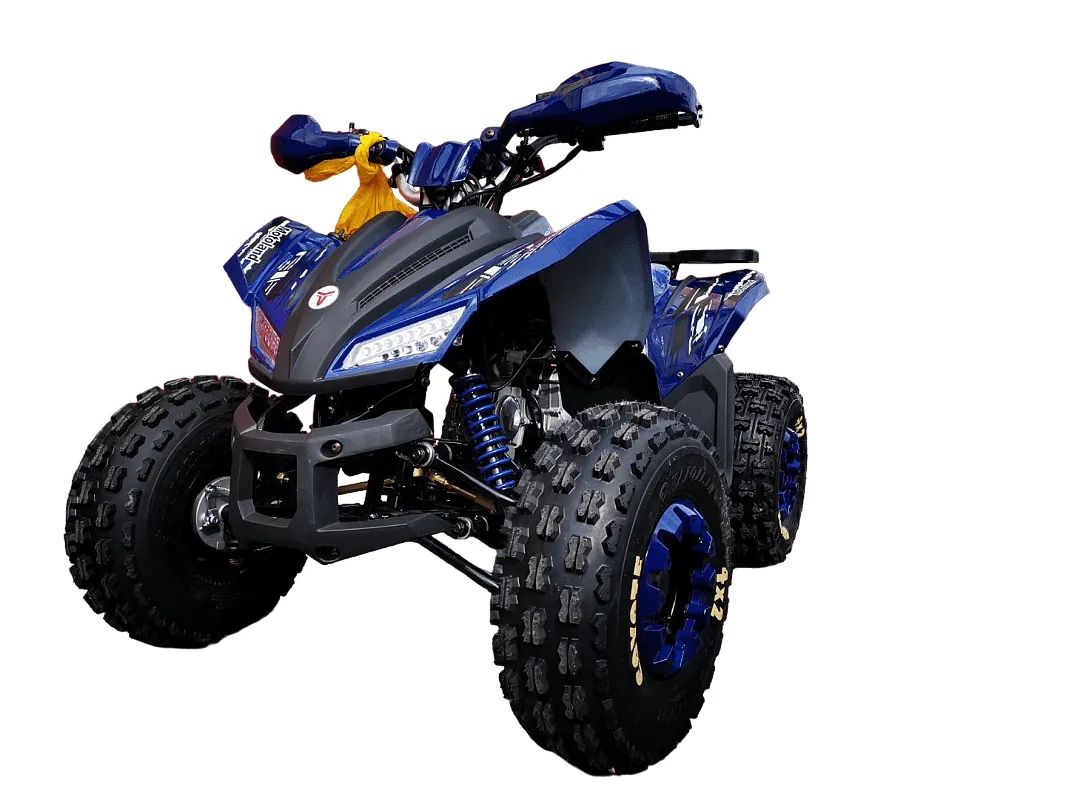 Квадроцикл MOTOLAND 125 Coyote PRO